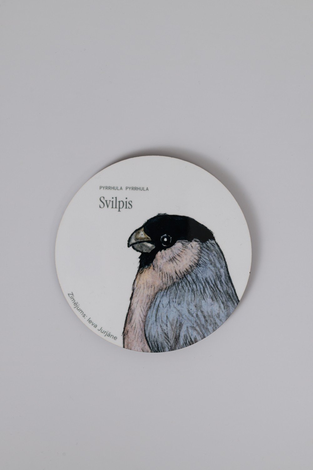 Krūzes paliknis - Svilpis